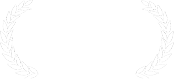 Twin Cities Film Festival